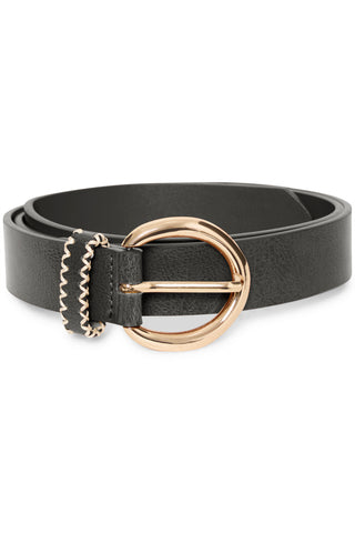 Ichi Viwild Belt Meteorite
