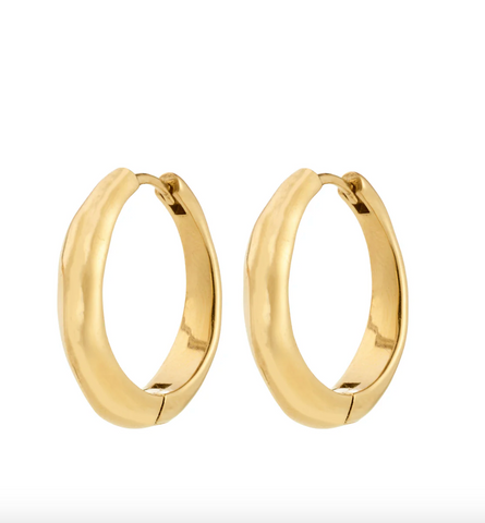 Pilgrim Harrison Hoops Gold