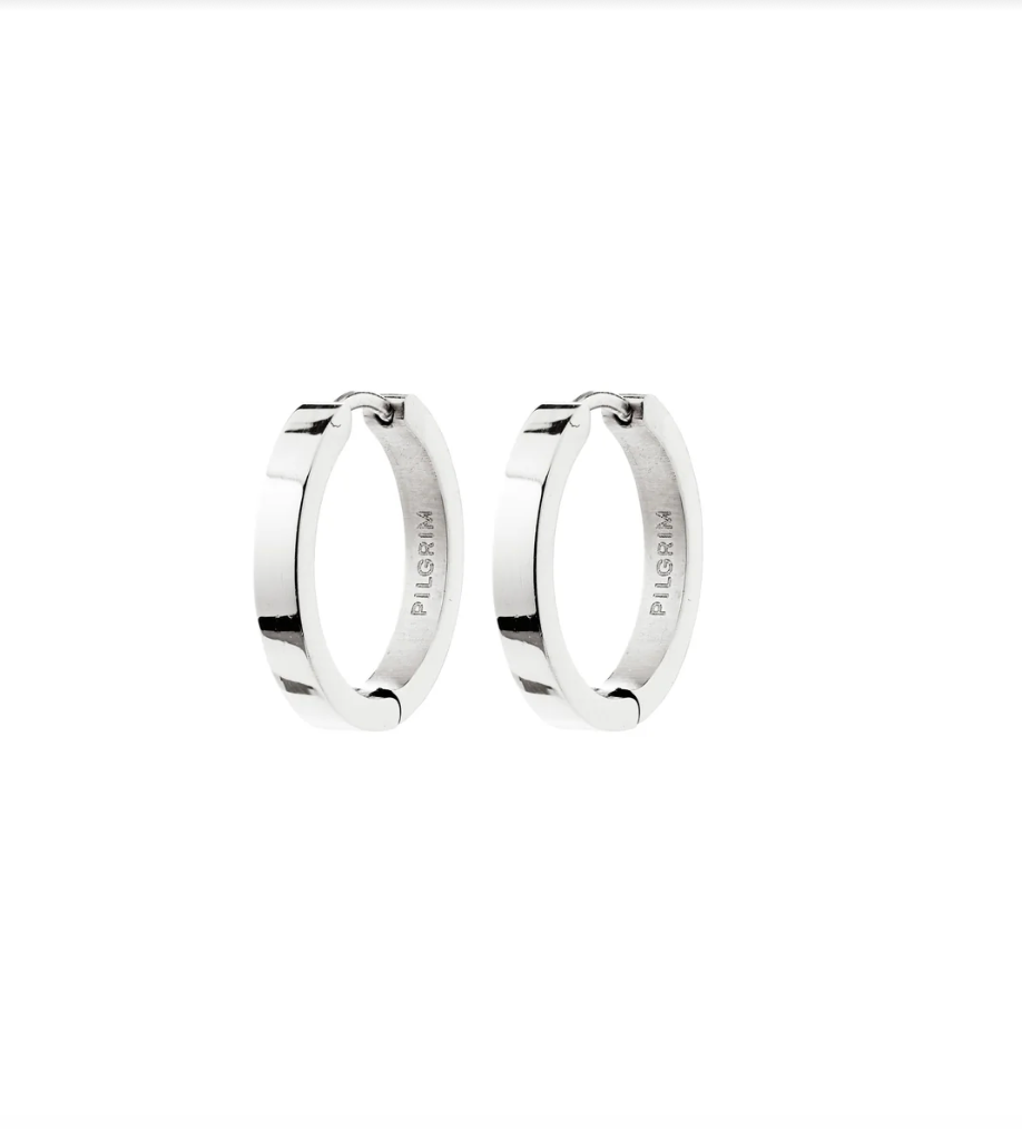 Pilgrim Kairoa Earrings Silver
