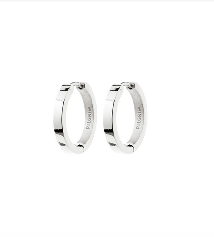 Pilgrim Kairoa Earrings Silver