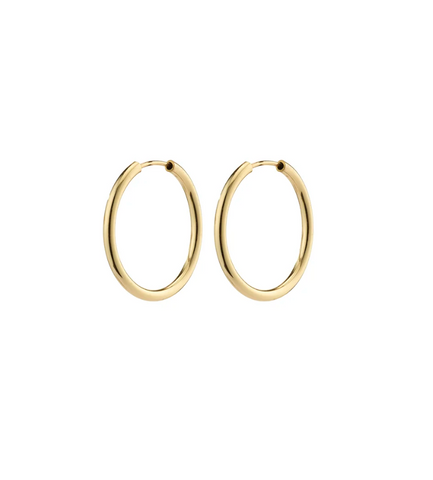 Pilgrim April Sm Hoop Gold