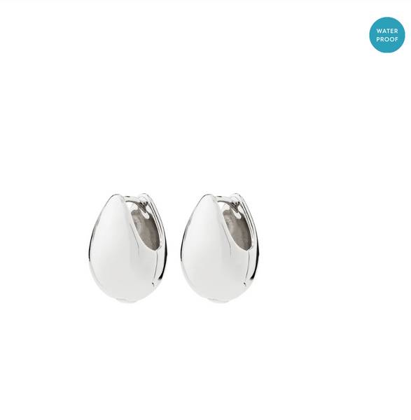 Pilgrim Kaisyn Earrings Silver