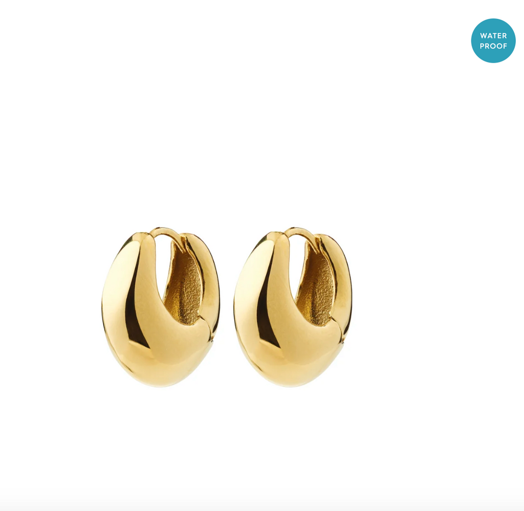Pilgrim Kairoa Earrings Gold