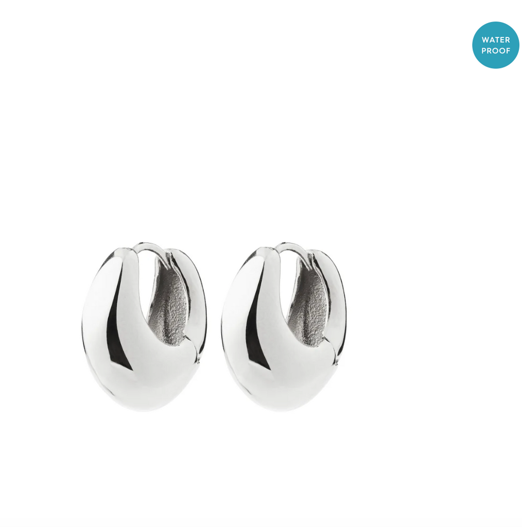 Pilgrim Kairoa Earrings Silver